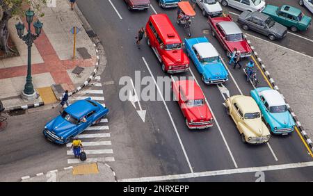 Blick auf den Paseo de Marti oder Paseo del Prado, La Habana Vieja Bezirk, La Habana, Kuba Stockfoto