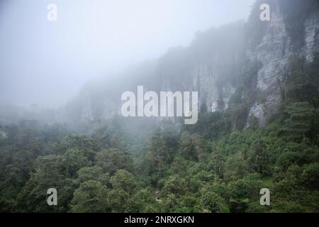 Ein wolkiger Tag in Bosques de Pandora in El Peñon, Santander Stockfoto