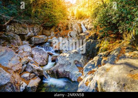 Rocky Mountain Bach im Pisgah National Forest, North Carolina Stockfoto