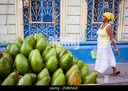 Avocados Stall in Corrales Straße, Centro Habana Bezirk, La Habana, Kuba Stockfoto