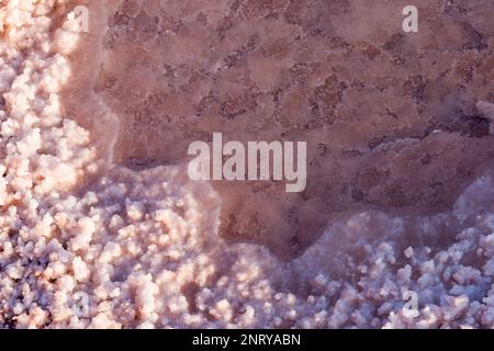 Kalium- und Salzkristalle bilden sich entlang des Randes eines Mineral Seep in der Nähe von Moab, Utah. Stockfoto