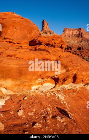 Gestreifte Sandsteinformationen von Cutler entlang des Shafer Trail bei Moab, Utah. Es wird angenommen, dass die weißen Streifen durch organische Einschlüsse in verursacht werden Stockfoto