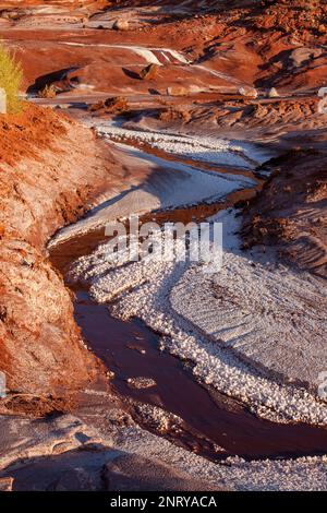 Kalium- und Salzkristalle bilden sich entlang des Randes eines Mineral Seep in der Nähe von Moab, Utah. Stockfoto