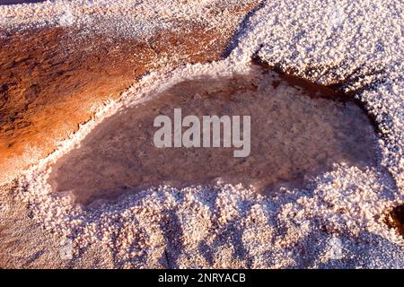 Kalium- und Salzkristalle bilden sich entlang des Randes eines Mineral Seep in der Nähe von Moab, Utah. Stockfoto