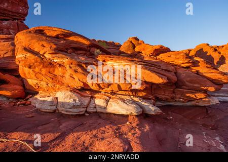 Gestreifte Sandsteinformationen von Cutler entlang des Shafer Trail bei Moab, Utah. Es wird angenommen, dass die weißen Streifen durch organische Einschlüsse in verursacht werden Stockfoto