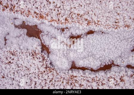 Kalium- und Salzkristalle bilden sich entlang des Randes eines Mineral Seep in der Nähe von Moab, Utah. Stockfoto