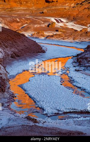 Goldener Sandstein, der sich im Wasser eines Mineral Seep bei Moab, Utah, spiegelt. Mineralisierte Kaliumkristalle säumen den Seep. Stockfoto