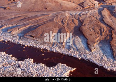 Kalium- und Salzkristalle bilden sich entlang des Randes eines Mineral Seep in der Nähe von Moab, Utah. Stockfoto