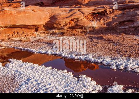 Kalium- und Salzkristalle bilden sich entlang des Randes eines Mineral Seep in der Nähe von Moab, Utah. Stockfoto