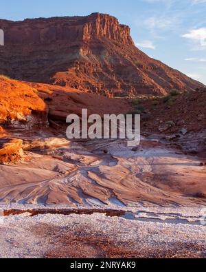 Kalium- und Salzkristalle bilden sich entlang des Randes eines Mineral Seep in der Nähe von Moab, Utah. Stockfoto