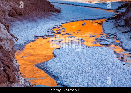 Goldener Sandstein, der sich im Wasser eines Mineral Seep bei Moab, Utah, spiegelt. Mineralisierte Kaliumkristalle säumen den Seep. Stockfoto