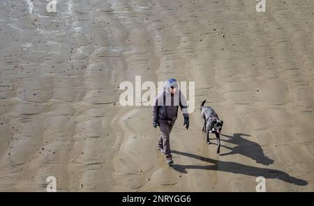 Ein Mann geht im Winter mit seinem Hund am Strand von Bognor Regis, West Sussex, Großbritannien, spazieren Stockfoto