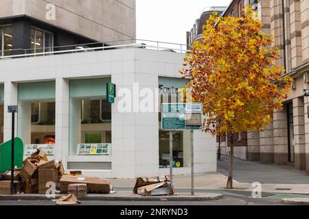 Müll neben einem urbanen Baum in Herbstfarbe, High Holborn, London, Großbritannien. 22. Okt. 2022 Stockfoto