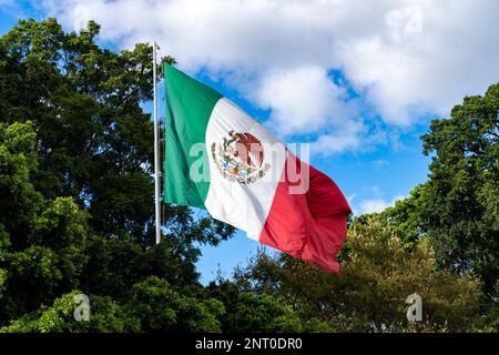 Die Staatsflagge Mexikos im historischen Oaxaca, Mexiko. Stockfoto