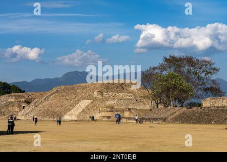 Gebäude P auf der Ostseite des Hauptplatzes in den prähispanischen Ruinen von Monte Alban in Oaxaca, Mexiko. Ein Kazuatbaum oder Tree Morning Glo Stockfoto