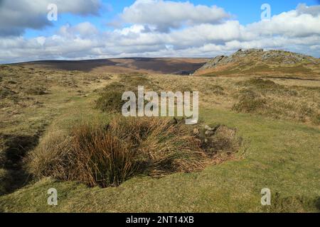 Blick vom Frühling auf Honeybag tor, Dartmoor, Devon, England, Großbritannien Stockfoto