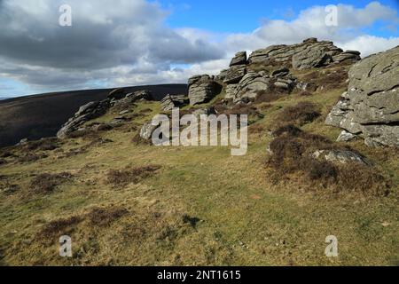 Blick vom Frühling auf Honeybag tor, Dartmoor, Devon, England, Großbritannien Stockfoto