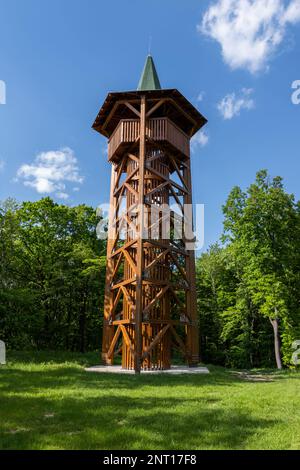 Blick auf den Aussichtspunkt Kovesteto in Mecsek, Ungarn Stockfoto