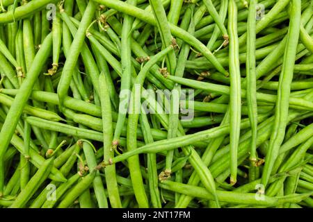Nahaufnahme eines Stapels grüner Bohnen in einem Marktstand. Stockfoto
