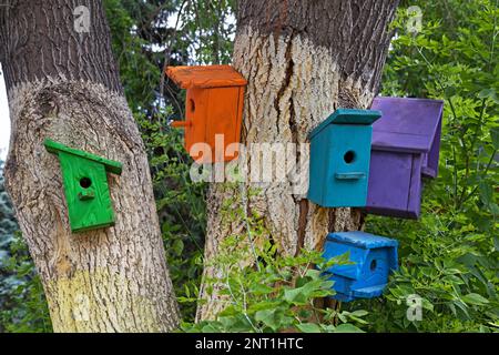 Farbenfrohe Häuser für Vögel auf den Bäumen. Stockfoto