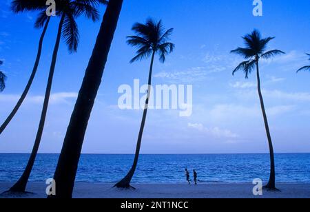 República Dominicana.Península de Samaná.Las Terrenas. Playa Cosón / Coson Strand Stockfoto