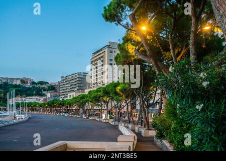 Die fantastische Pinienallee in Monaco in La Condamine ist die zentrale Station im Fürstentum Monaco. Zu den Wahrzeichen gehören Port Herkules. Guten Morgen Stockfoto