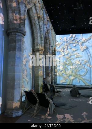Immersive Art: Eine neue Art, die Werke von Van Gogh zu erleben, wie das Gemälde „Almond Blossom“, das 3D in einer alten Kirche in Leicester projiziert wurde. Stockfoto