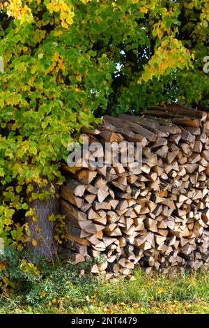 Energiekrise in europa mit steigenden Preisen: Holzhaufen mit frisch gestaffeltem und gehacktem Holz Stockfoto