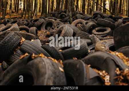 Alte Autoräder im Herbstpark mit heruntergefallenem Laub. Stapel gebrauchter Gummireifen auf dem Boden im Freien auf dem Schrottplatz Stockfoto