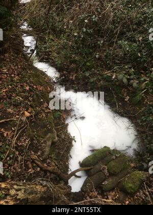 Unbekannte weiße Substanz, möglicherweise Emulsionsfarbe, wurde in diesen einst unberührten Strom bei Canterbury, Kent, Großbritannien, abgegeben. Stockfoto