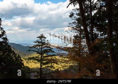 Malerische Aussicht wunderschöne Landschaft südwestlich des Biwa-Sees (Biwako) & Stadtbild von Otsu-shi von einem Berggipfel in Hieizan (Berg Hiei), Shiga, Japan Stockfoto