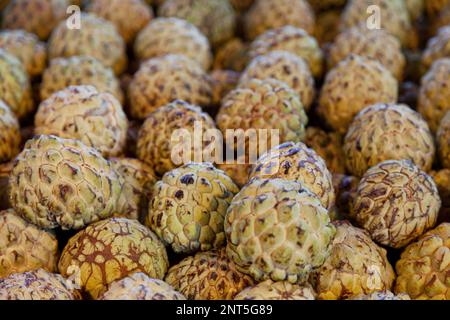 Nahaufnahme eines Stapels Zuckeräpfel auf einem Marktstand. Stockfoto