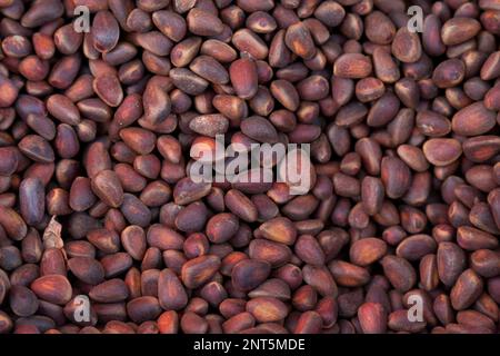 Ein Stapel sibirischer Pinienkerne (Pinus sibirica) auf einem Stallmarkt in Listvyanka. Sie werden im östlichen Sibirien am Baikalsee angebaut. Stockfoto