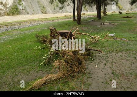 Nach dem Zyklon Gabrielle, als das Wasser des Flusses Rangitikei zurückgeht und Trümmer, Schäden und eine Säuberung hinterlässt Stockfoto