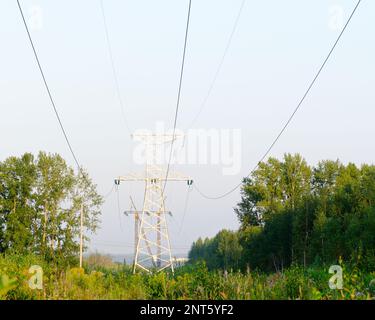 Der Endanker unterstützt Überlandleitungen mit Drähten am Horizont, an einem wunderschönen Abhang des farbenfrohen orangefarbenen Sonnenuntergangs über dunklem Wald, durch den Stockfoto