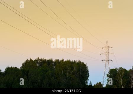 Der Endanker unterstützt Überlandleitungen mit Drähten am Horizont bei einem hellen Sonnenuntergang im Wald durch Metallstangen und -Stangen, Rahmen. Stockfoto