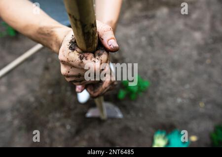 Frauenhände halten Gartenwerkzeug Stockfoto