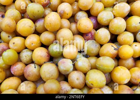 Stapel Mirabellpflaumen (Prunus domestica subsp. Syriaca) auf einem Handelsstand. Stockfoto