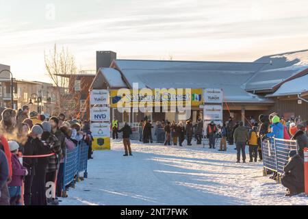 Whitehorse, Yukon Territory, Kanada - Februar 11. 2023: YUKON QUEST Professional Hundeschlittenrennen von Kanada nach Alaska während der Wintersaison Stockfoto