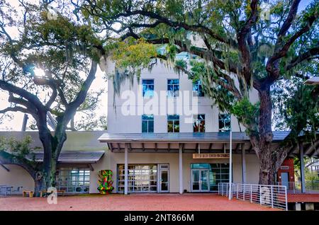 Biloxi Center for Ceramics ist im Ohr-O’Keefe Museum of Art, 22. Februar 2023, in Biloxi, Mississippi, zu sehen. Stockfoto