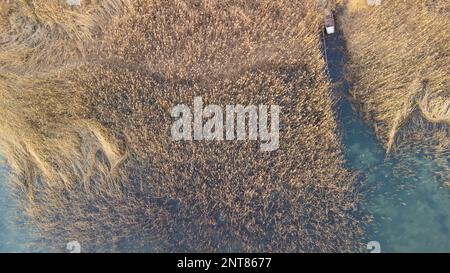 Luftaufnahme auf See und Schilf. Sapanca-See in der Türkei. Der Wasserstand des Sees nahm aufgrund der Dürre ab. Mit selektivem Fokus. Einschließlich Lärm und Körnung Stockfoto