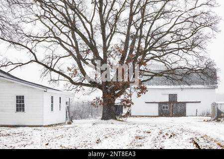 Amish House und Scheune an einer Nebenstraße in Central Michigan, USA [Keine Immobilienfreigabe; nur redaktionelle Lizenzierung] Stockfoto