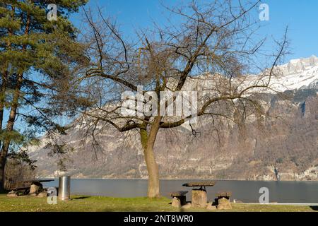 Unterterzen, Kanton Saint Gallen, Schweiz, 10. Februar 2023 unglaubliche Aussicht auf das Alpsteingebirge und den Walensee Stockfoto