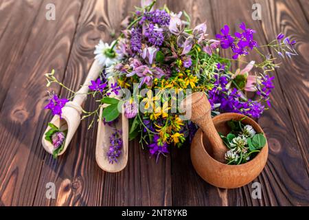 Sommer Heilkräuter - Johanniskraut, Kamille, Kleeblatt in der Nähe von Holzmörtel. Herstellung von Medikamenten aus natürlichen Pflanzen durch Kräuterkundige Stockfoto