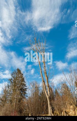 Einsiedeln Gegend, Kanton Schwyz, Schweiz, 20. Februar 2023 interessante Wolkenformen am Himmel an einem sonnigen Tag Stockfoto