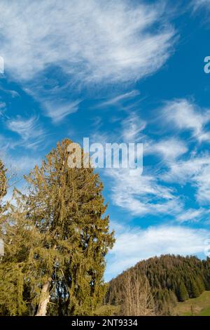 Einsiedeln Gegend, Kanton Schwyz, Schweiz, 20. Februar 2023 interessante Wolkenformen am Himmel an einem sonnigen Tag Stockfoto