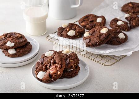Doppelte Schokoladenkekse mit kleinen Marshmallows auf Pergament auf einem Kühlregal Stockfoto