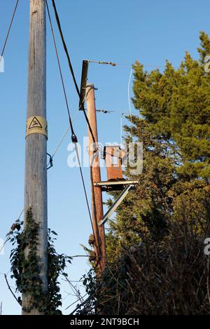 Rostige Stromversorgungsposten in ländlichen Gebieten in der Nähe von Bäumen im ländlichen Suffolk, England, Großbritannien Stockfoto