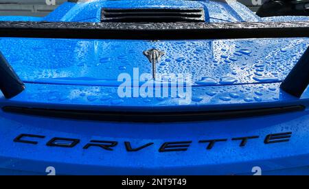 Blaue Corvette Stingray Stockfoto