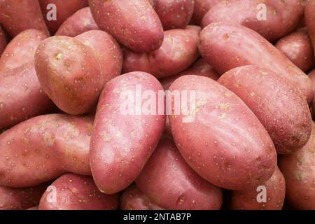 Nahaufnahme eines Stapels rosafarbener Kartoffeln zum Verkauf an einem Marktstand. Stockfoto